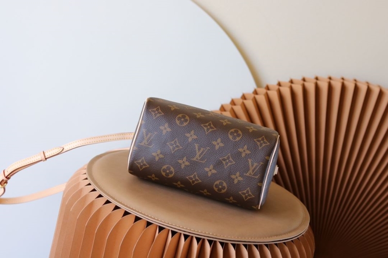 LV Speedy Bags